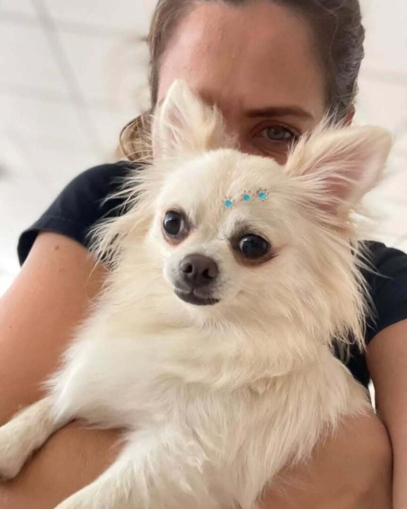 mydoglazer_1709846606_3318756331795386787_335237084