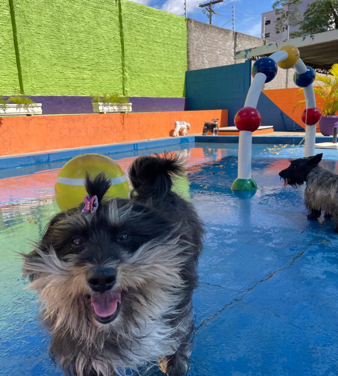 0a2d4abd-5411-4109-9dda-f5577b3d23ef