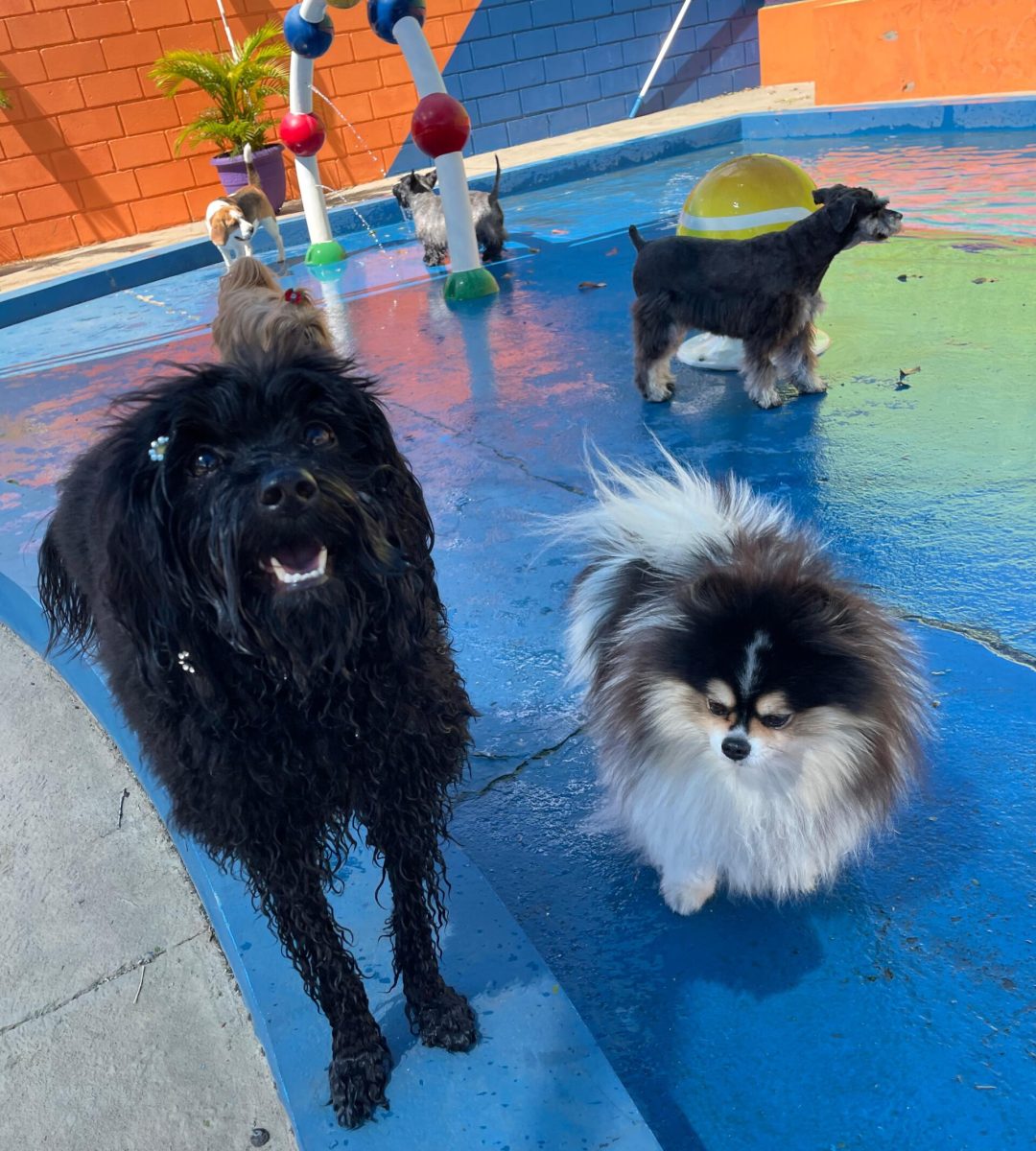 1d27592a-5858-4dd9-b719-2e2c2833baf1