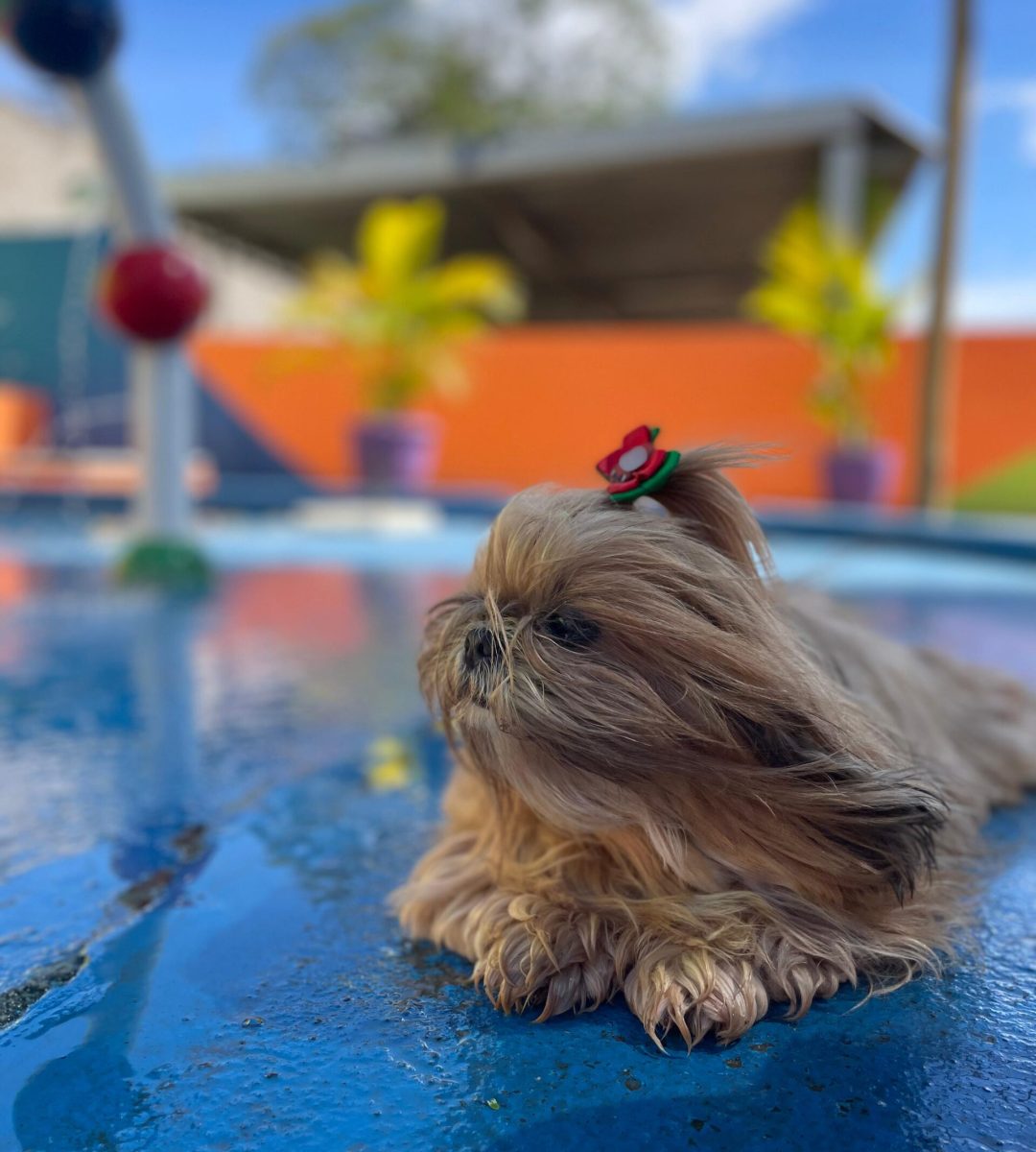 6687a376-417f-4b91-9994-c5c937e03b5e