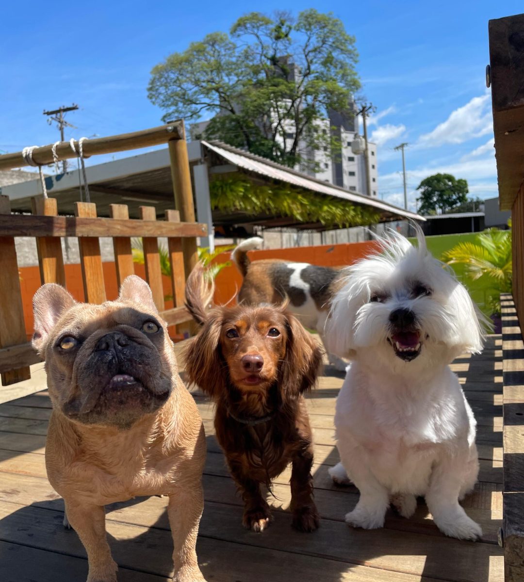 7036e44c-957f-4a38-8e87-bd38ee490616