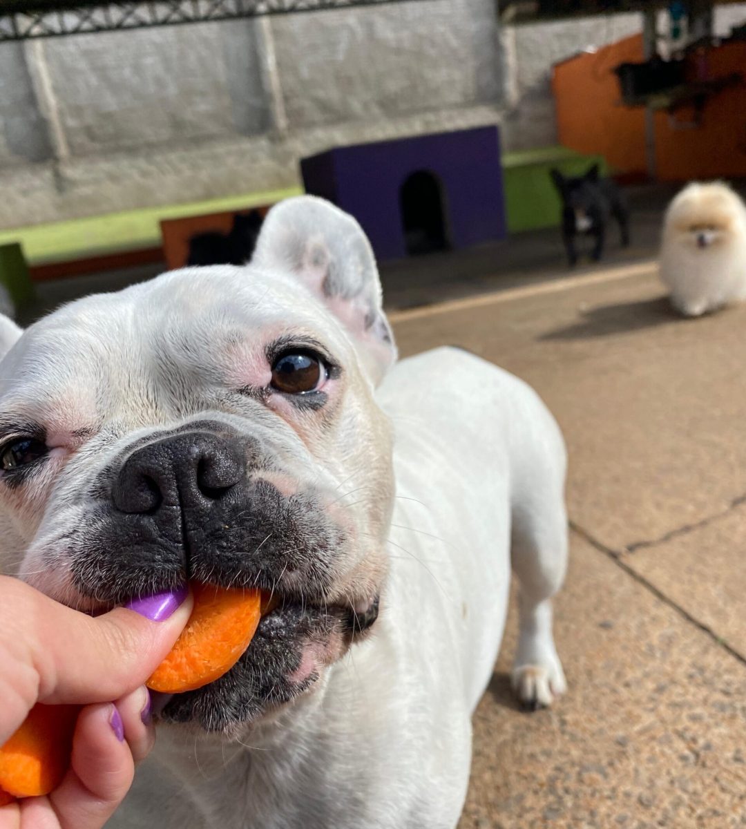 714ac1d7-ef45-4de0-b2a4-afd30da183c3