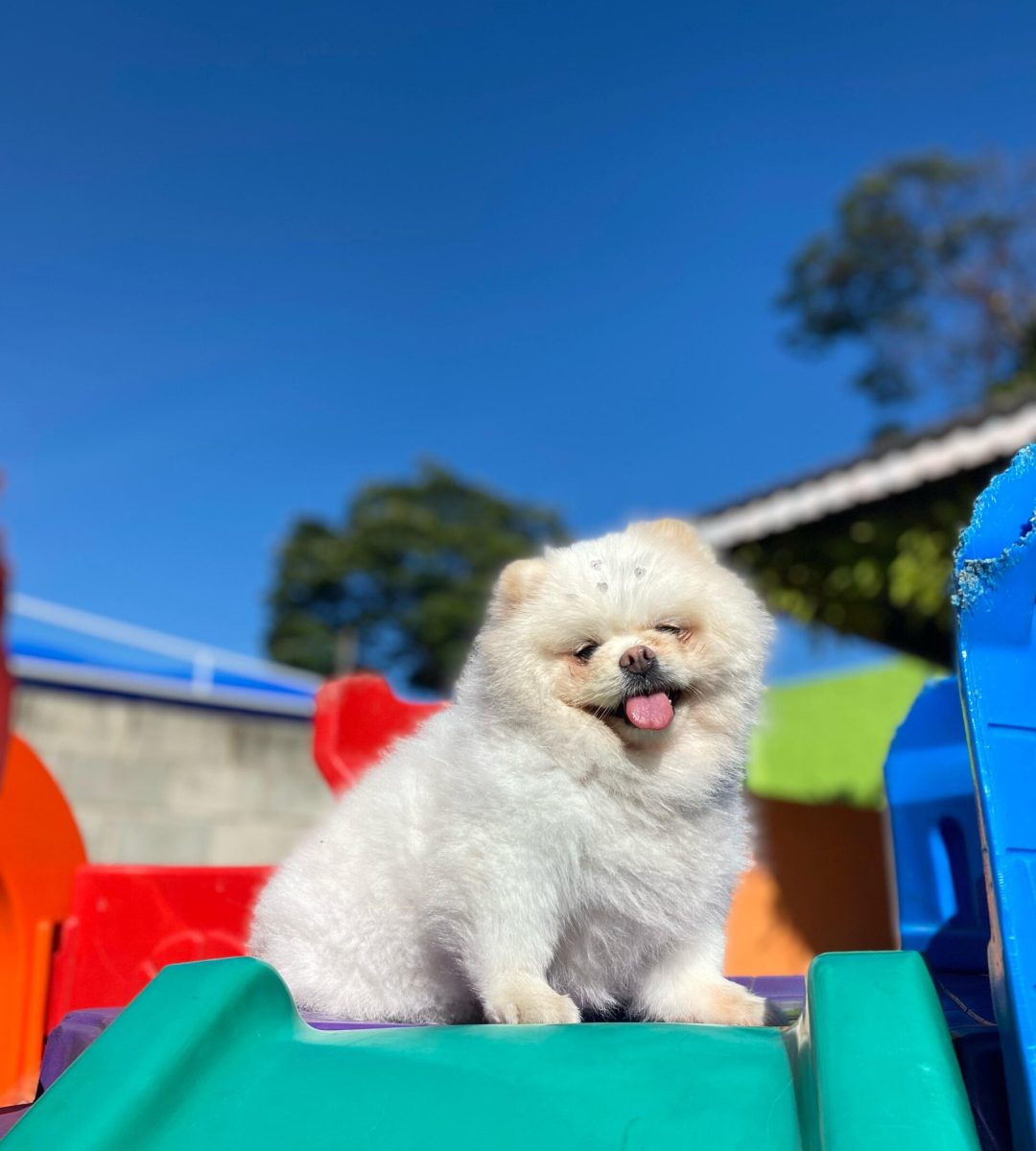 9ac4ba29-8837-4a13-bc37-03e1161cf0ff