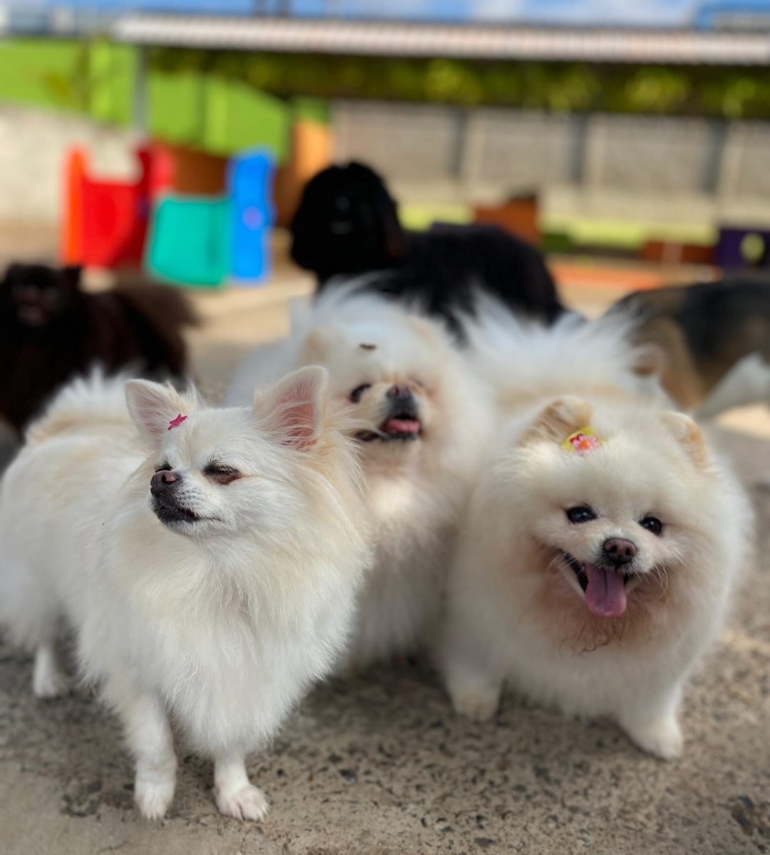 a1e70c99-a775-4383-8f46-415b350a6a2c