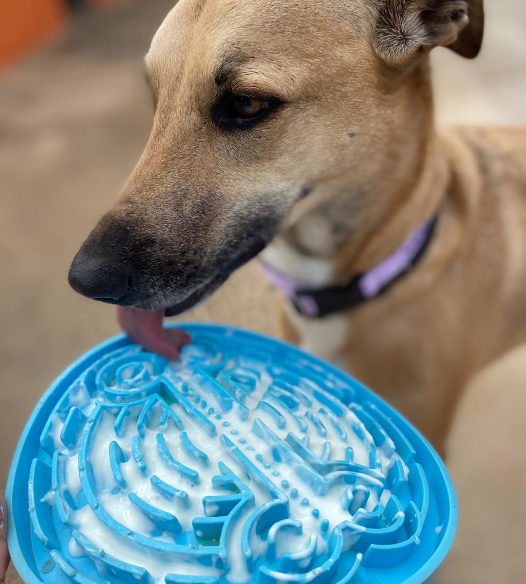 b6953938-cbba-45ba-8f3b-5044ee3f020e