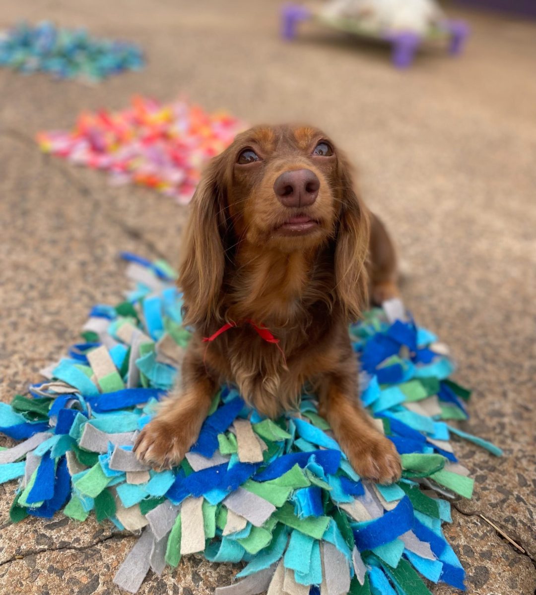 de59e69f-c322-43e5-8c12-0696e5dcba87