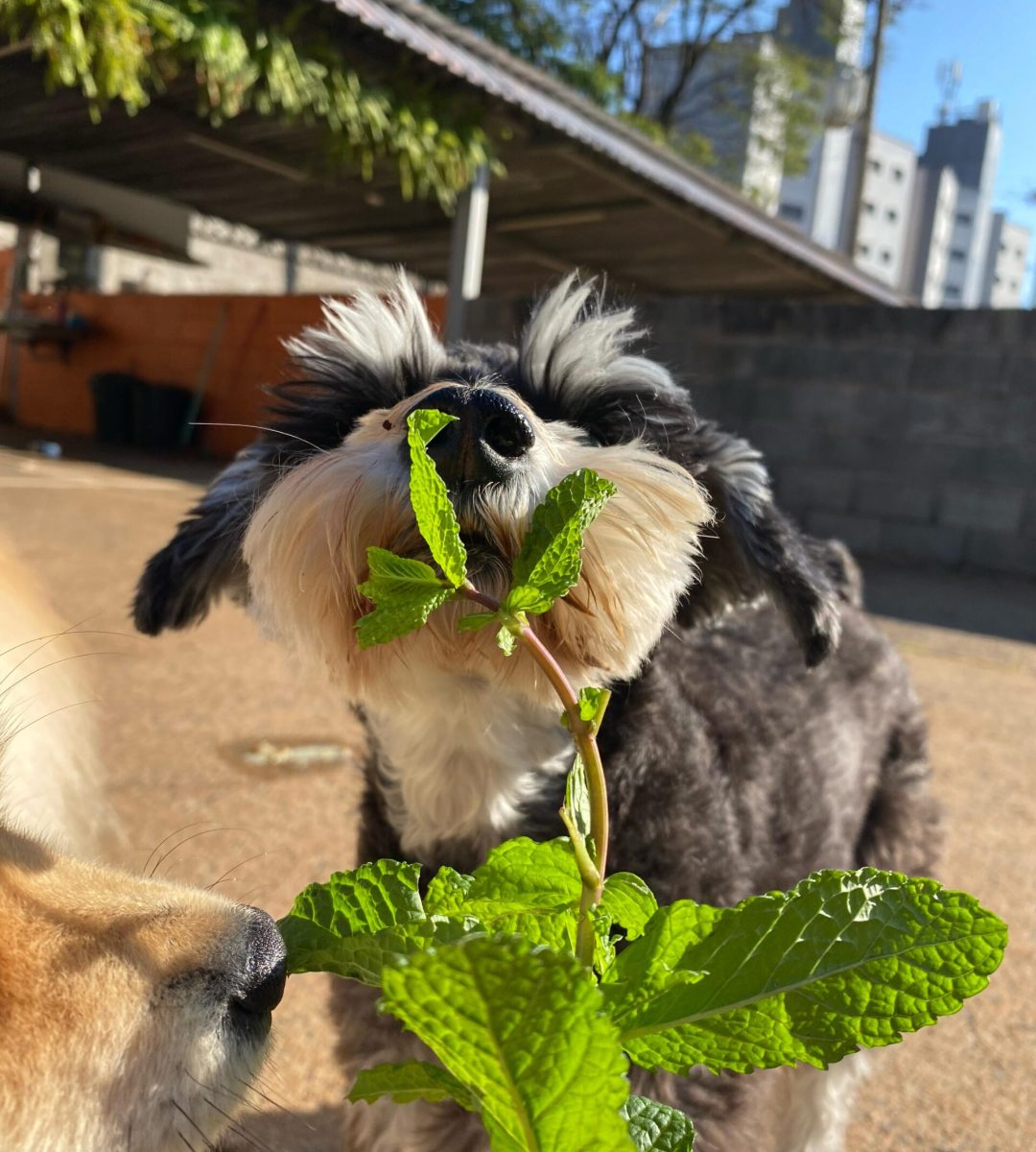 fa731eb0-6e0f-42ad-acb0-f71ed4c04c91